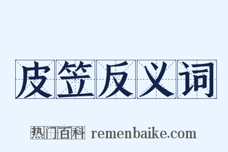 皮笠反义词是什么意思的图片